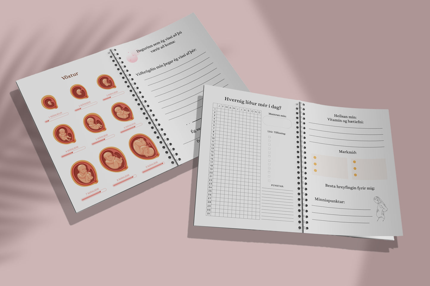 Móðurtengsl - Meðgöngudagbók