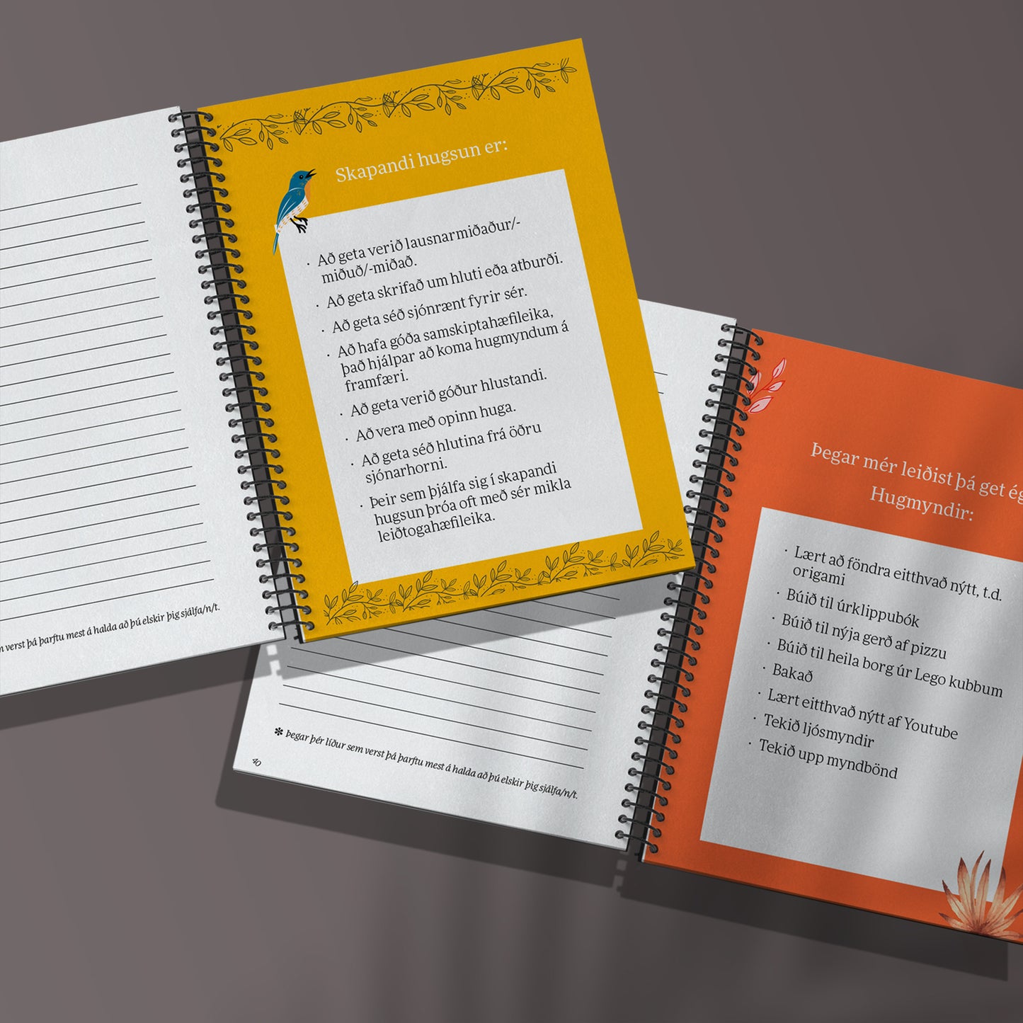 Stundarkorn Unglingar - Dagbók