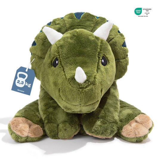 Dínó - þyngingarbangsi