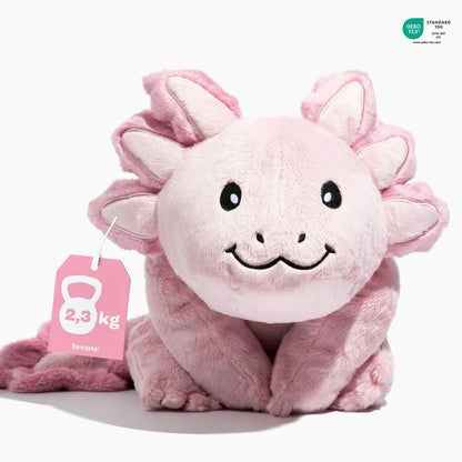 Axolotl - Þyngingarbangsi