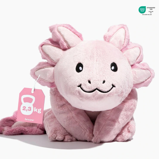 Axolotl - Þyngingarbangsi