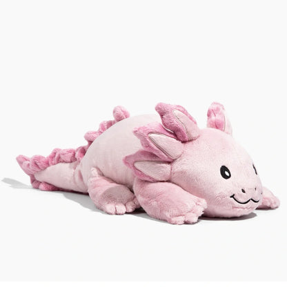 Axolotl - Þyngingarbangsi