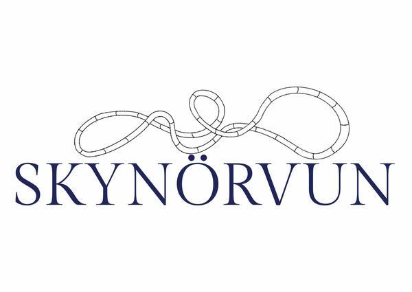 Skynörvun.is