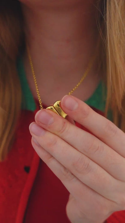 Ský fikthálsmen með segli - FORPÖNTUN